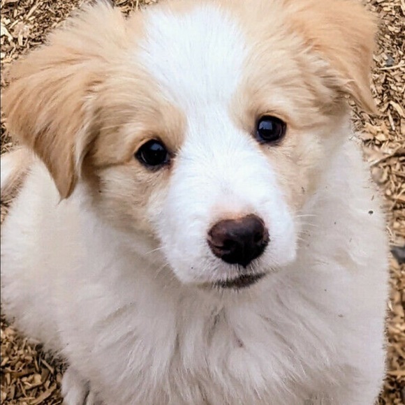 Meet your Posher, Manuel - Picture 1 of 1